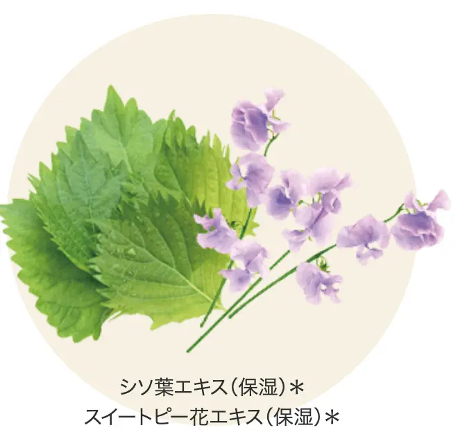 「ファンケル」と「オルビス」のニキビラインを特徴で比較!