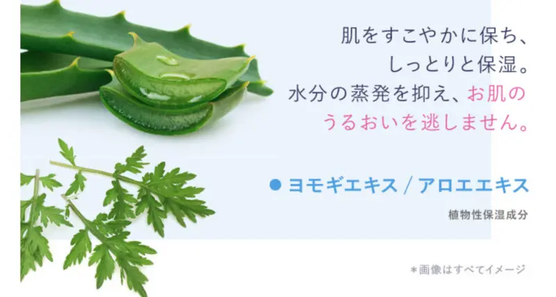 「ファンケル」と「オルビス」のニキビラインを特徴で比較!